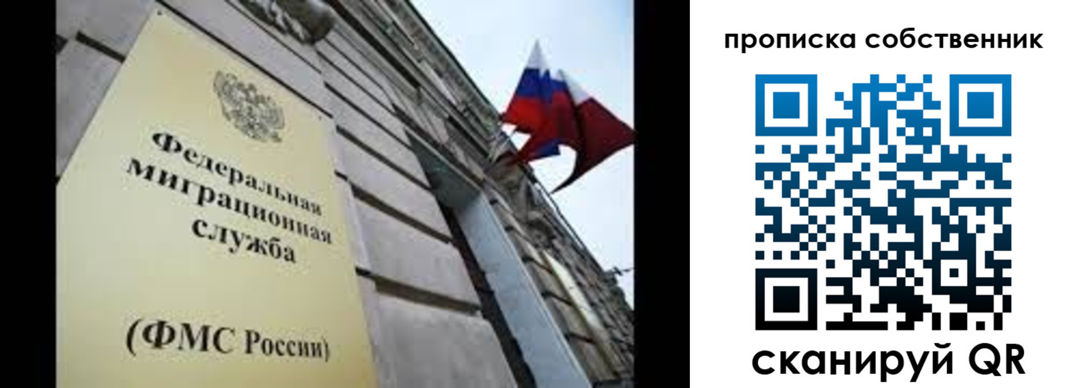 прописка гарантия в Кировске
